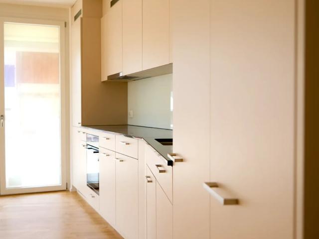 Rent a 3 ½ rooms apartment in Hedingen Flatfox