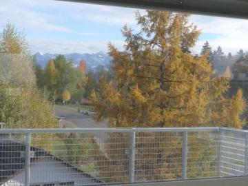 Rent a 3 ½ rooms apartment in Hinwil Flatfox