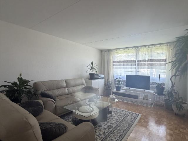 Rent a 3 ½ rooms apartment in Hinterkappelen Flatfox