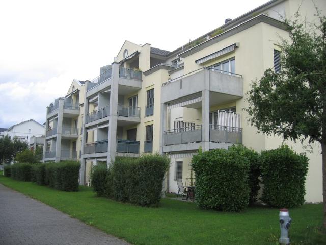 Rent a 3 ½ rooms apartment in Jona Flatfox
