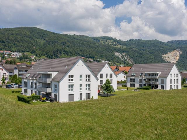 Rent a 3 ½ rooms apartment in Oberbuchsiten Flatfox