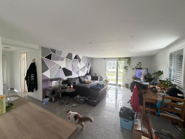 Rent a 3 ½ rooms apartment in Oberbuchsiten Flatfox