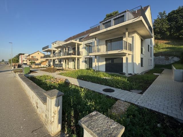 Rent a 3 ½ rooms apartment in Oberbuchsiten Flatfox