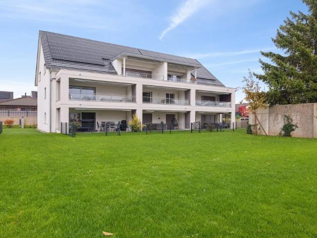 Rent a 3 ½ rooms apartment in Oberbipp Flatfox