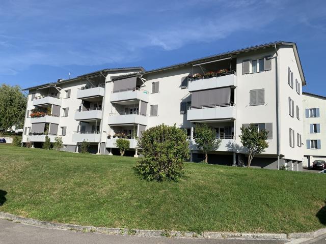 Rent a 3 rooms apartment in Oberengstringen Flatfox