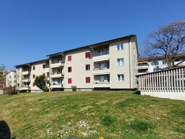Rent a 3 rooms apartment in Oberengstringen Flatfox