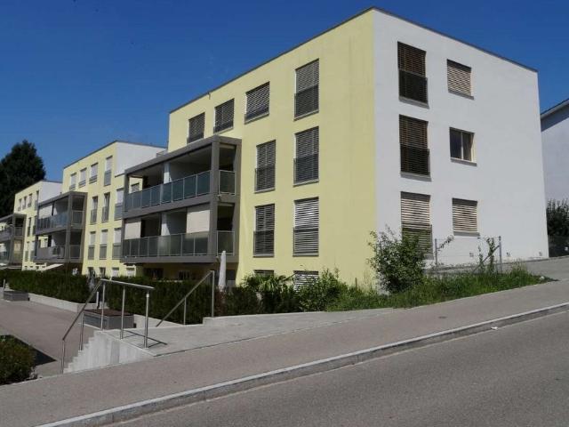 Rent a 3 ½ rooms apartment in Oberengstringen Flatfox