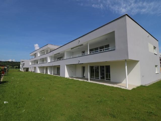 Rent a 3 ½ rooms apartment in Oberentfelden Flatfox