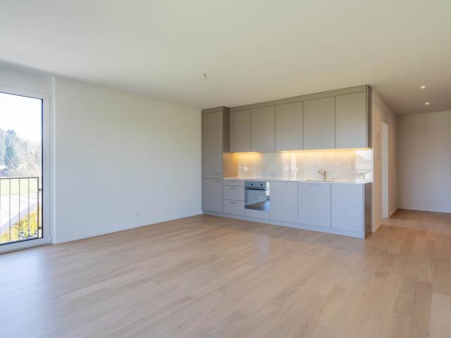 Rent a 3 ½ rooms apartment in Oberwangen TG Flatfox