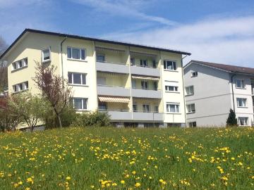 Rent a 3 ½ rooms apartment in Olten Flatfox