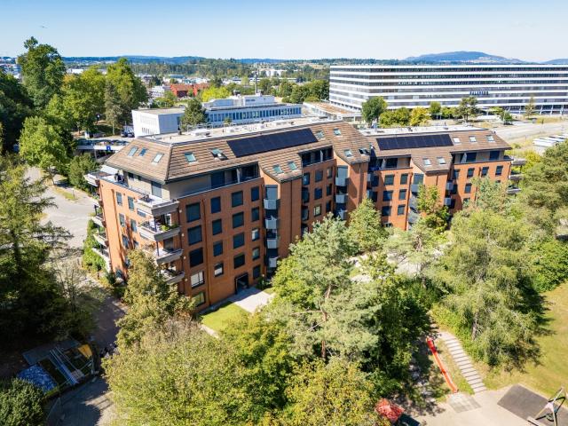 Rent a 3 ½ rooms apartment in Opfikon Flatfox