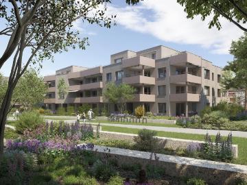 Rent a 3 ½ rooms apartment in Othmarsingen Flatfox