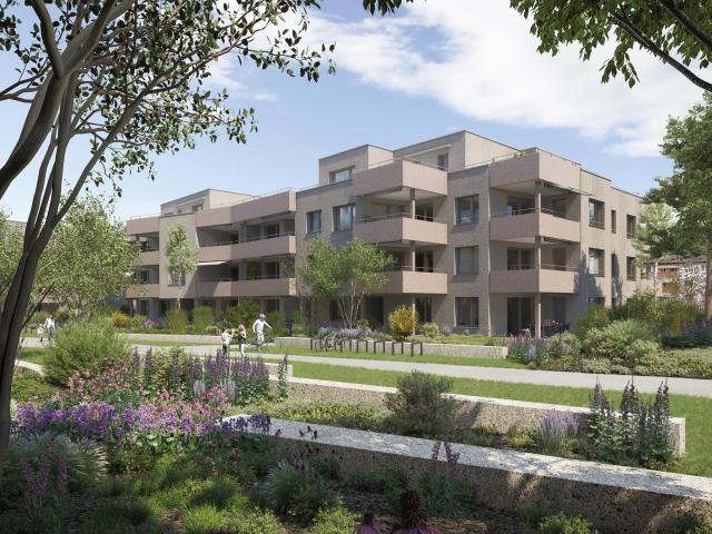 Rent a 3 ½ rooms apartment in Othmarsingen Flatfox