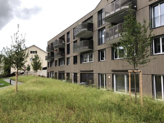 Rent a 3 ½ rooms apartment in Läufelfingen Flatfox