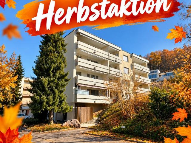 Rent a 3 rooms apartment in Laufenburg Flatfox