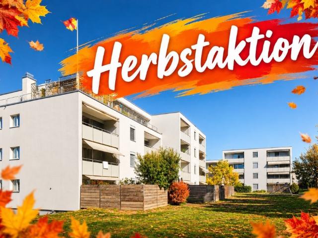 Rent a 3 ½ rooms apartment in Laufenburg Flatfox