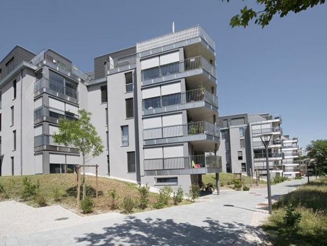 Rent a 3 ½ rooms apartment in Lausanne Flatfox