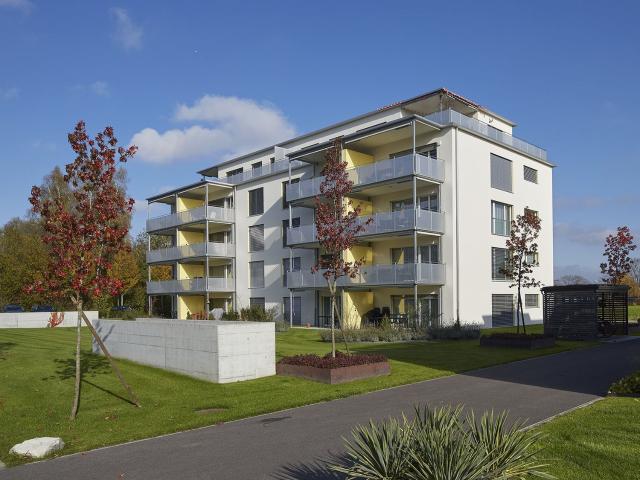 Rent a 3 ½ rooms apartment in Langenthal Flatfox