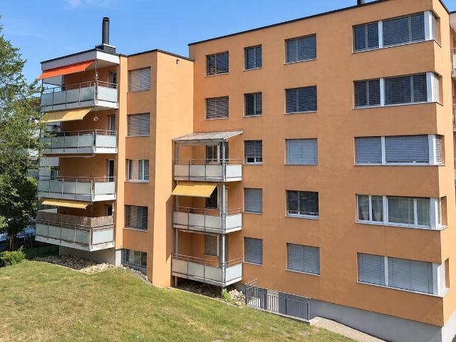 Rent a 3 ½ rooms apartment in Langwiesen Flatfox
