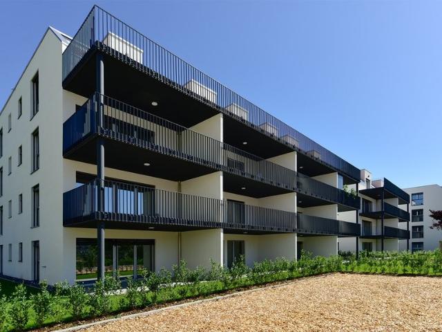 Rent a 3 ½ rooms apartment in Leibstadt Flatfox