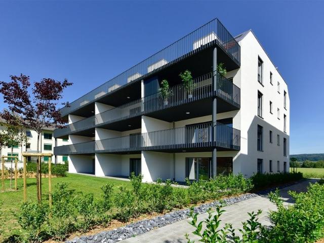 Rent a 3 ½ rooms apartment in Leibstadt Flatfox