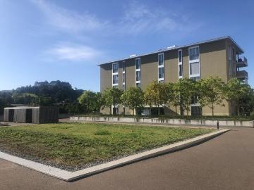 Rent a 3 ½ rooms apartment in Lenzburg Flatfox