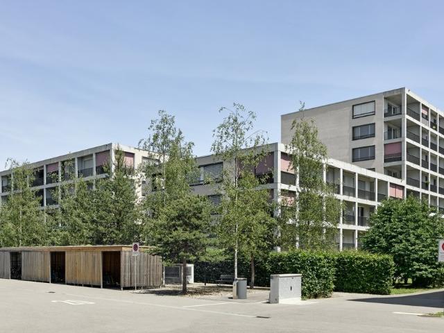 Rent a 3 ½ rooms apartment in Lenzburg Flatfox