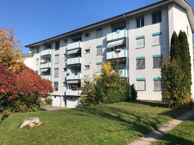 Rent a 3 ½ rooms apartment in Lenzburg Flatfox