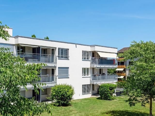 Rent a 3 rooms apartment in Lenzburg Flatfox