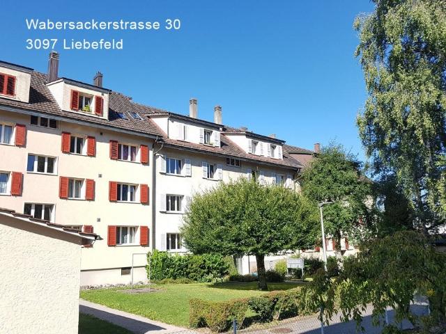 Rent a 3 rooms apartment in Liebefeld Flatfox