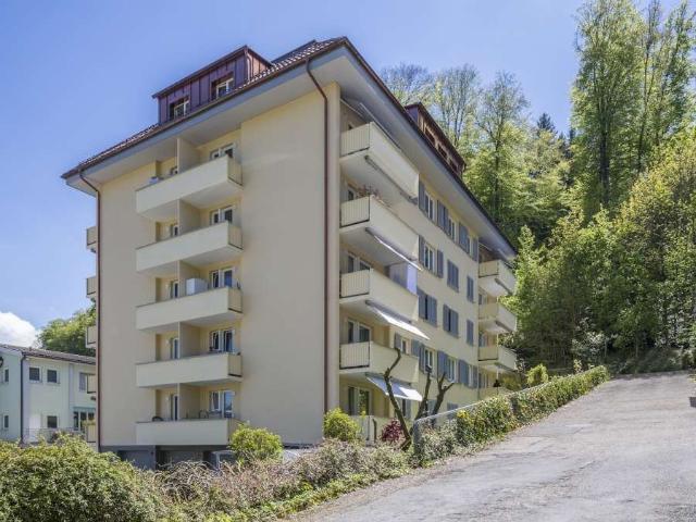 Rent a 3 rooms apartment in Luzern Flatfox
