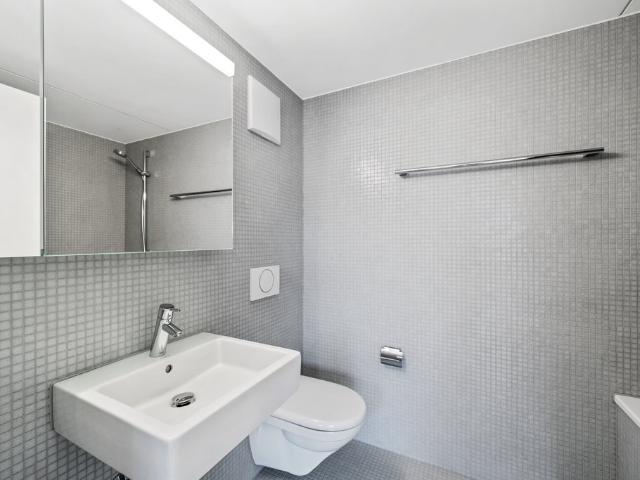 Rent a 3 ½ rooms apartment in Luzern Flatfox