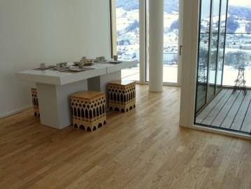Rent a 3 ½ rooms apartment in Luzern Flatfox