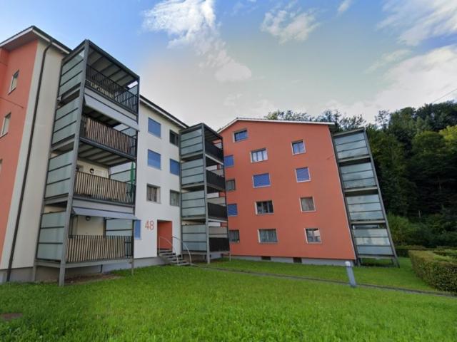 Rent a 3 rooms apartment in Luzern Flatfox