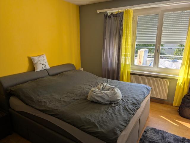 Rent a 3 ½ rooms apartment in Luzern Flatfox