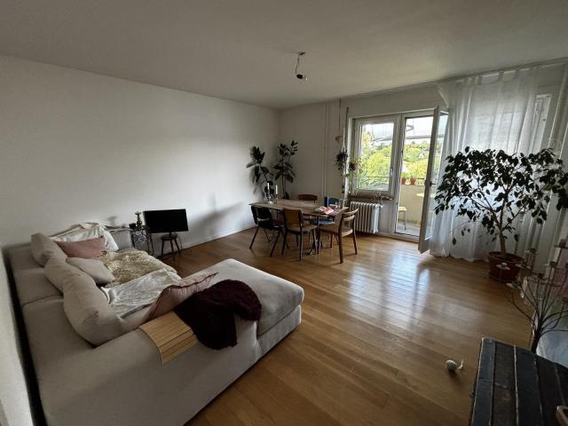 Rent a 3 ½ rooms apartment in Luzern Flatfox