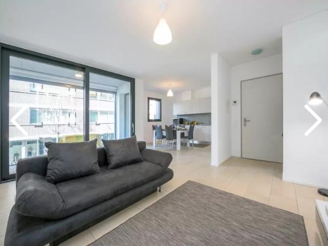 Rent a 3 ½ rooms apartment in Lugano Flatfox