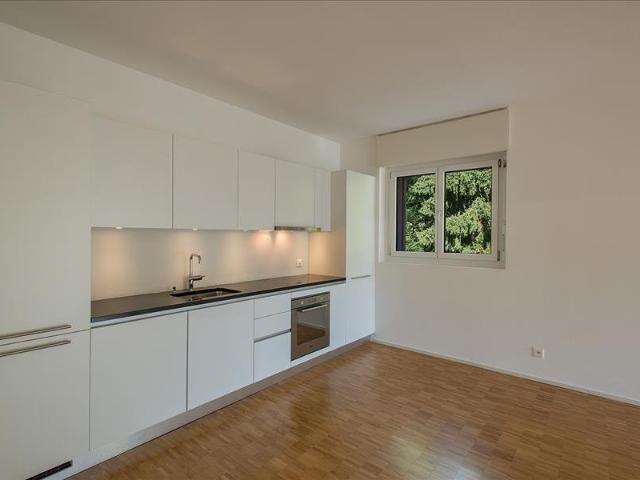 Rent a 3 ½ rooms apartment in Lugano Flatfox