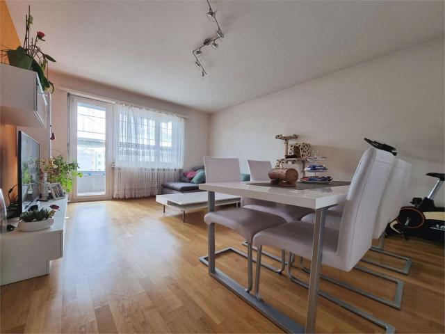 Rent a 3 ½ rooms apartment in Lugano Flatfox