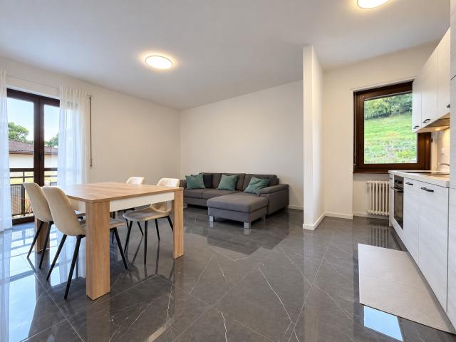 Rent a 3 ½ rooms apartment in Lugano Flatfox
