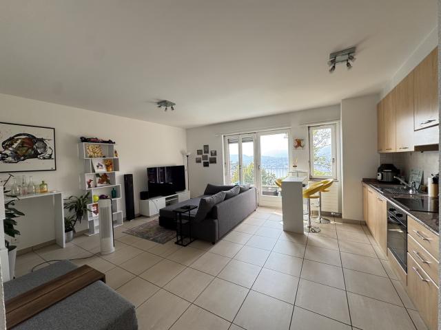 Rent a 3 ½ rooms apartment in Lugano Flatfox