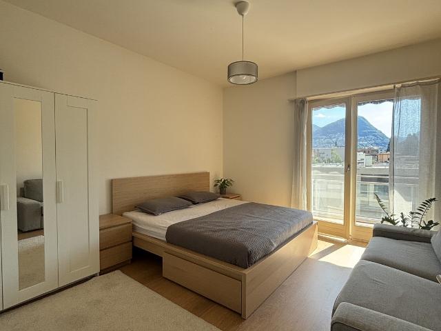 Rent a 3 ½ rooms apartment in Lugano Flatfox