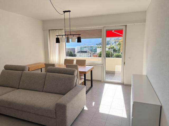 Rent a 3 ½ rooms apartment in Lugano Flatfox