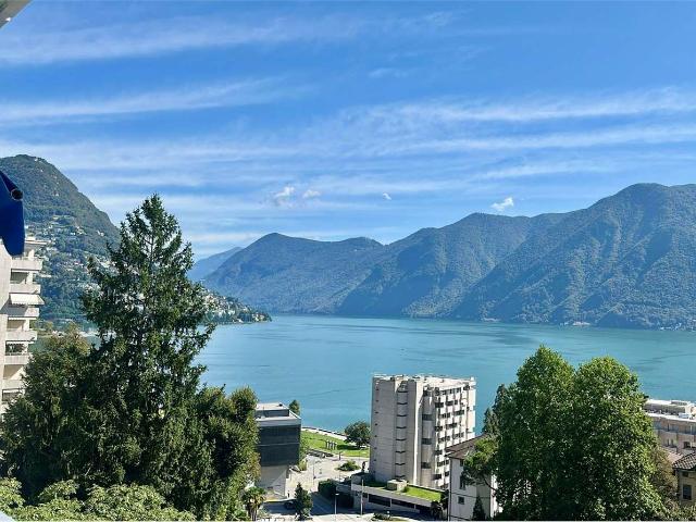 Rent a 3 ½ rooms apartment in Lugano Flatfox
