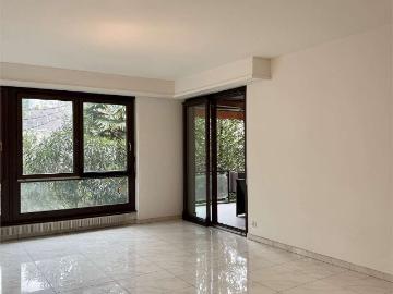 Rent a 3 ½ rooms apartment in Lugano Flatfox