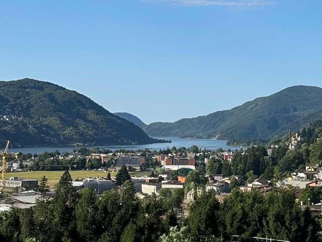 Rent a 3 ½ rooms apartment in Lugano Flatfox