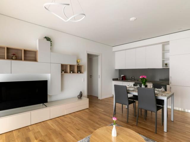 Rent a 3 ½ rooms apartment in Lugano Flatfox