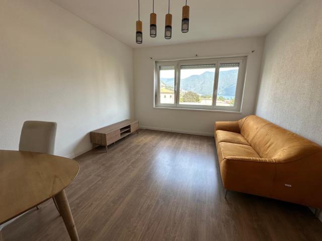 Rent a 3 ½ rooms apartment in Lugano Flatfox