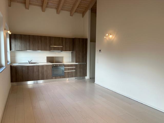 Rent a 3 ½ rooms apartment in Lugano Flatfox