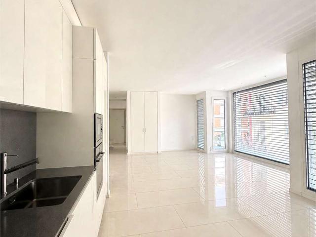 Rent a 3 ½ rooms apartment in Lugano Flatfox